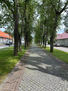 a cobblestone street with trees on either side at Katariina allee korter in Võru