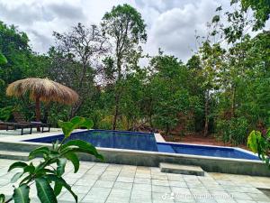 Bazén v ubytování Sigiri Mango Garden Eco Resort nebo v jeho okolí