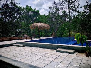 Bazén v ubytování Sigiri Mango Garden Eco Resort nebo v jeho okolí