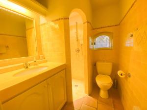 un bagno con lavandino, WC e specchio di Bergerie a Grimaud Altre 24 foto