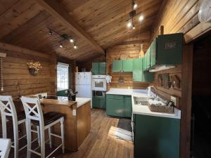 Kuchyň nebo kuchyňský kout v ubytování Family Cabin in the Hills of Strawberry Valley