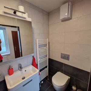 a bathroom with a toilet and a sink at Apartmány RADOST in Kovářská +92 photos