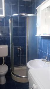 ein Badezimmer mit Dusche, Toilette und Waschbecken in der Unterkunft Apartmani Krsman 2 in Herceg-Novi