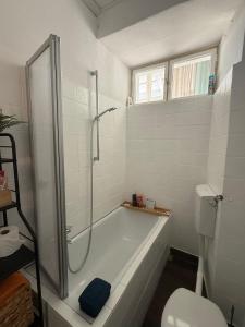 a bathroom with a shower and a tub and a toilet at Basseltang urban apartment in Grenzach-Wyhlen +33 photos