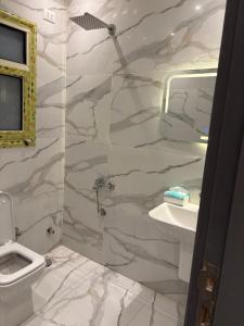 a bathroom with a toilet and a sink at Zayed hotel in Sheikh Zayed