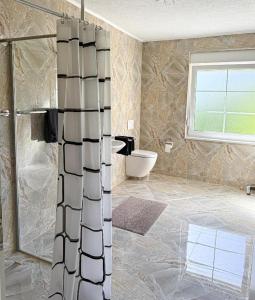 a bathroom with a shower and a toilet at Apartments Rose in Rakovica
