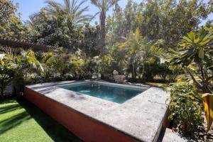 una piscina in mezzo a un giardino di Hacienda Tropical - Oasis of History and Nature a San José del Cabo