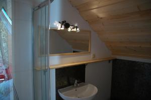 a bathroom with a sink and a mirror at Przystanek Rospuda in Sucha Wieś