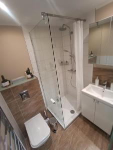a bathroom with a shower and a toilet and a sink at Studio Apartment Hochgratflair in Oberstaufen