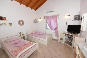 a bedroom with two beds and a television in it at Country house Speri in Samos