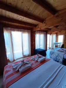 Afbeelding uit fotogalerij van Agriturismo Cinque Tomoli in Ventotene