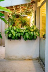 Um jardim em Pousada Hospedaria215