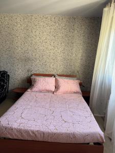 een slaapkamer met een bed met een roze dekbed bij Studio Lyon Plage in Lyon