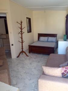 Studio boulevard pasteur central في طنجة: غرفة معيشة بها سرير وأريكة