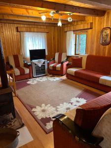 a living room with couches and a tv in a room at BAHAR APART in Ayder Yaylasi