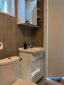 a bathroom with a toilet and a sink and a mirror at Chalet Boerennest bij strand en duinen - Midicamping Van der Burgh - Rockanje in Rockanje +26 photos