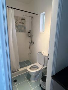 a bathroom with a toilet and a shower at Oro suites budget in Mikonos