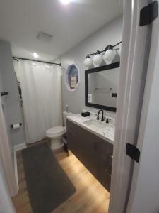 een badkamer met een wastafel, een toilet en een spiegel bij 6 bedroom! Pool Table, Gaming Area, Firepit & More in Joliet