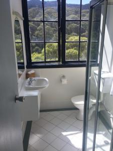 a bathroom with a sink and a toilet with windows at House of Ullr in Thredbo