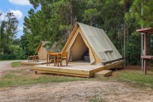 Fotografie z fotogalerie ubytování Cozy Lakeside Glamping Escape by Lake Livingston v destinaci Onalaska