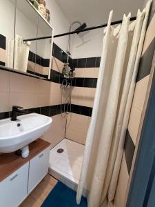 een badkamer met wastafel en douche bij Le cosy du Panier in Marseille +31 foto's