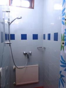 a bathroom with a shower with blue and white tiles at B&Boatel Alibii in Alphen aan den Rijn