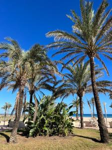 a group of palm trees on the beach at Apartamento Monika Playa y Grau in Gandía