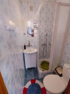 a bathroom with a toilet and a shower and a sink at Willa Barbara in Tupadła +30 photos