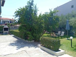 Gallery image of Elina House 2 in Nikiti +20 photos