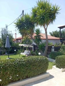 Gallery image of Elina House 2 in Nikiti