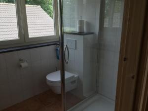 a bathroom with a toilet and a glass shower at Bed en Breakfast De Kees in Eersel