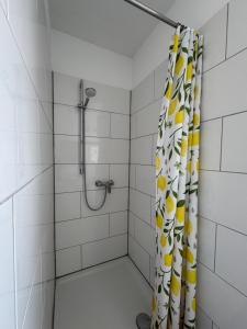 a bathroom with a shower with a shower curtain at Pension Albert - möblierte Einzel- und Doppel- Zimmer auf Zeit in Stuttgart +7 photos