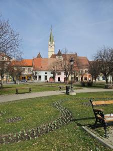 a park with a bench and a building with a clock tower at Concept Luxury in Mediaş