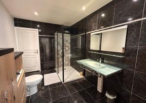 a bathroom with a sink and a shower and a toilet at Louisa - Spacieux en Plein centre - Places gratuites - 1er étage in Auch