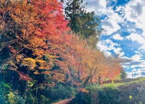 別荘の近くで見られる自然の景観