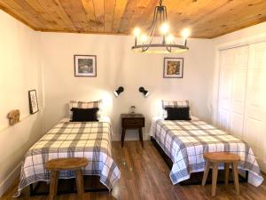 ヘンダーソンビルにあるFamily-Friendly Mountain Oasis W Game Room & Grillのベッド2台とシャンデリアのある寝室