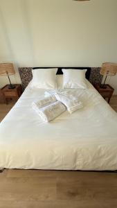 - un lit avec 2 livres et 2 oreillers dans l'établissement Maison avec Jacuzzi proche du lac, à Marcillac-la-Croisille