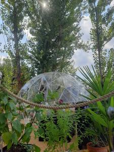 Κήπος έξω από το l'Arche Enchantée