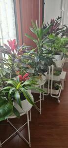 隆达Apartamentos Los Descalzos Ángel With Private Terrace Free Parking的相册照片
