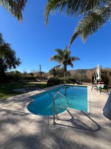 a swimming pool with a palm tree in the background at Complejo de Cabañas Aires de Santiago in San Antonio de Arredondo