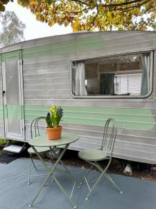 une table et deux chaises à côté d'une remorque dans l'établissement Castlemaine Gardens Vintage 60's Caravan, à Castlemaine