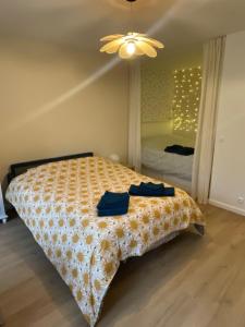 Un dormitorio con una cama y un espejo grande. en Cozy appart between Paris & Disney, en Torcy