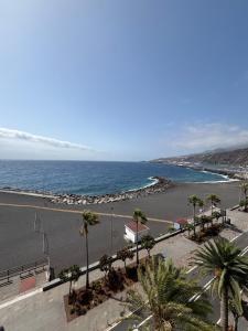 a view of a beach with palm trees and the ocean at isacar la real in Santa Cruz de la Palma