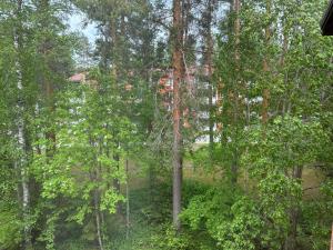 Φυσικό τοπίο κοντά σε αυτό το διαμέρισμα +2 φωτογραφίες