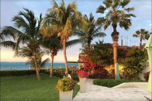 Gallery image of Modern Apartament beachfront the bight settlement Turks and Caicos Island in The Bight Settlements
