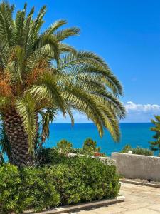 a palm tree with the ocean in the background at La Finestra Sul Mare in Tusa