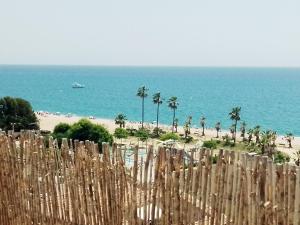 a beach with palm trees and a boat in the water at terraza al mar in Pineda de Mar