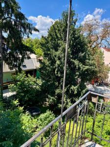 克卢日-纳波卡Classic Love Story in Old Cluj III的相册照片