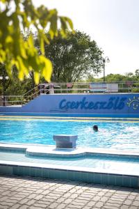 a person swimming in a pool in front of a boat at Solaris Platan House in Cserkeszőlő +4 photos
