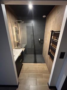 a bathroom with a shower and a sink at Maison SPA 2025 in Mont-près-Chambord